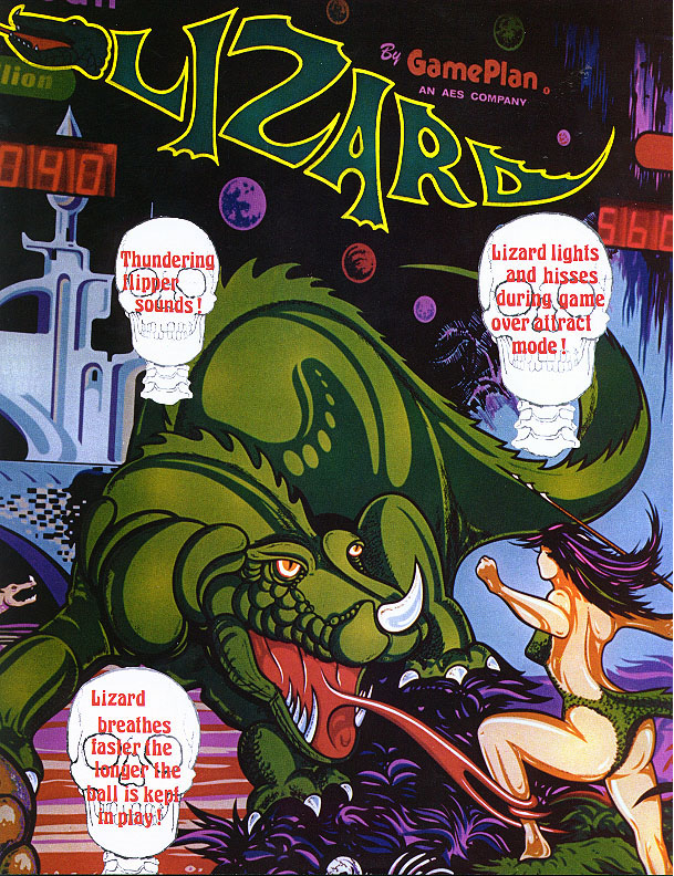 Game Plan Lizard Flyer